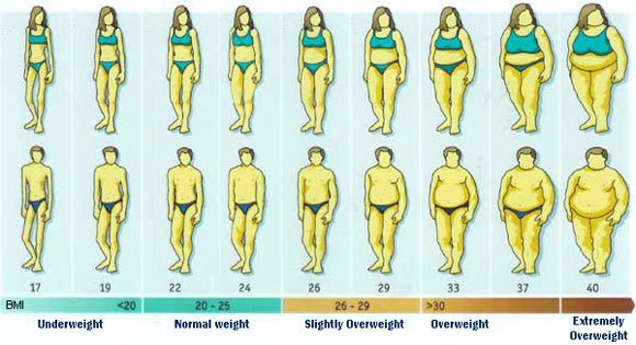 Do You Know The Difference Between Bmi And Body Fat Chan Soon